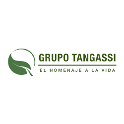 Tangassi